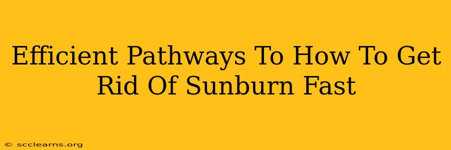 Efficient Pathways To How To Get Rid Of Sunburn Fast