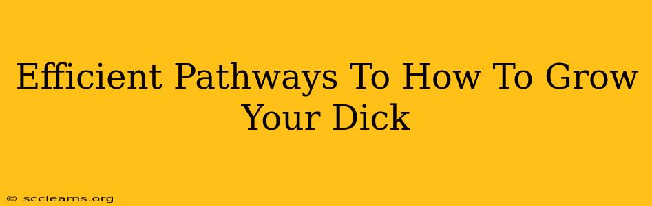 Efficient Pathways To How To Grow Your Dick