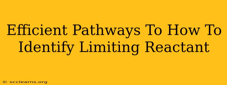 Efficient Pathways To How To Identify Limiting Reactant