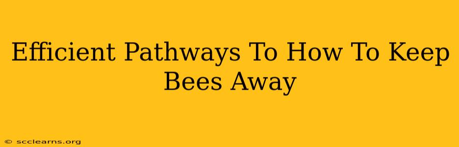 Efficient Pathways To How To Keep Bees Away