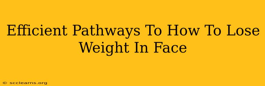 Efficient Pathways To How To Lose Weight In Face