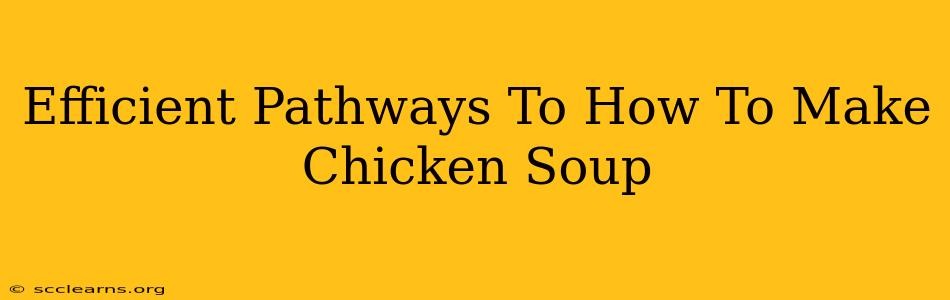 Efficient Pathways To How To Make Chicken Soup