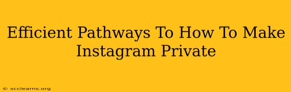 Efficient Pathways To How To Make Instagram Private