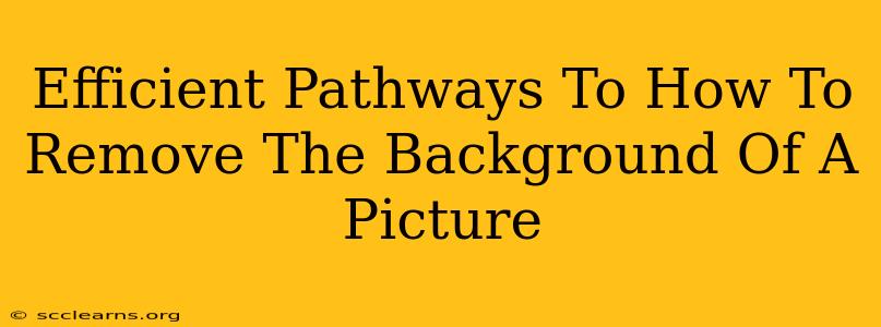 Efficient Pathways To How To Remove The Background Of A Picture