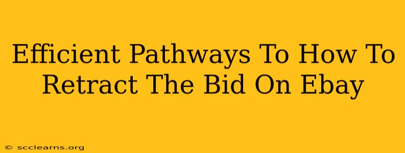 Efficient Pathways To How To Retract The Bid On Ebay