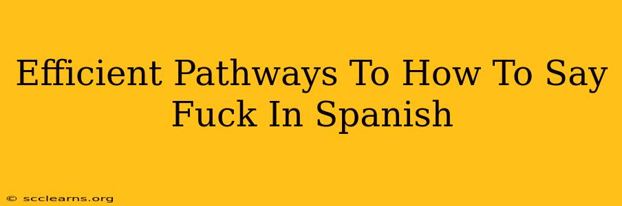 Efficient Pathways To How To Say Fuck In Spanish