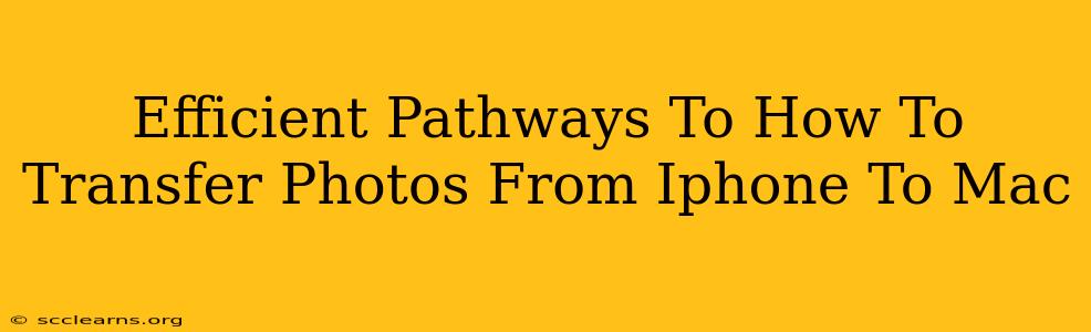 Efficient Pathways To How To Transfer Photos From Iphone To Mac