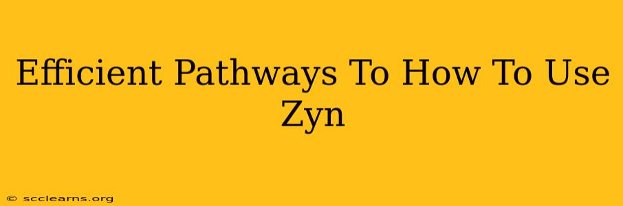 Efficient Pathways To How To Use Zyn