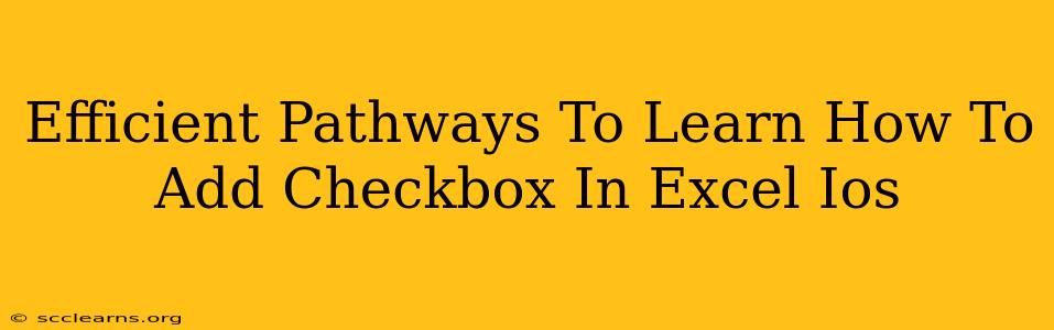 Efficient Pathways To Learn How To Add Checkbox In Excel Ios