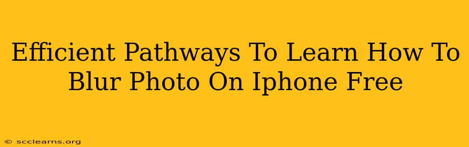 Efficient Pathways To Learn How To Blur Photo On Iphone Free