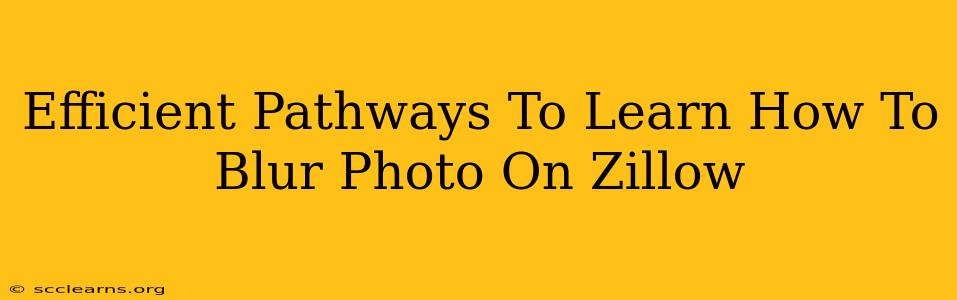 Efficient Pathways To Learn How To Blur Photo On Zillow