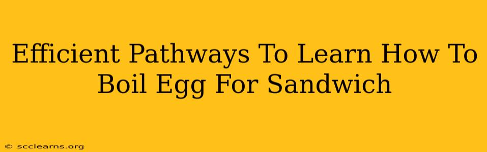 Efficient Pathways To Learn How To Boil Egg For Sandwich