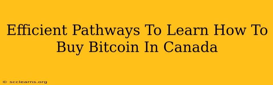 Efficient Pathways To Learn How To Buy Bitcoin In Canada