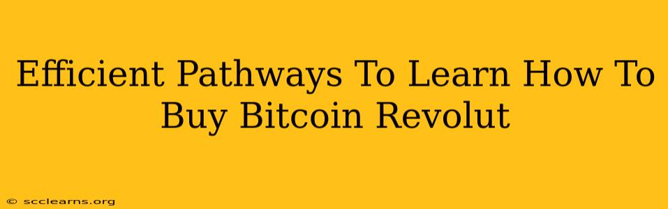 Efficient Pathways To Learn How To Buy Bitcoin Revolut