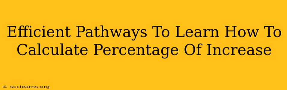 Efficient Pathways To Learn How To Calculate Percentage Of Increase