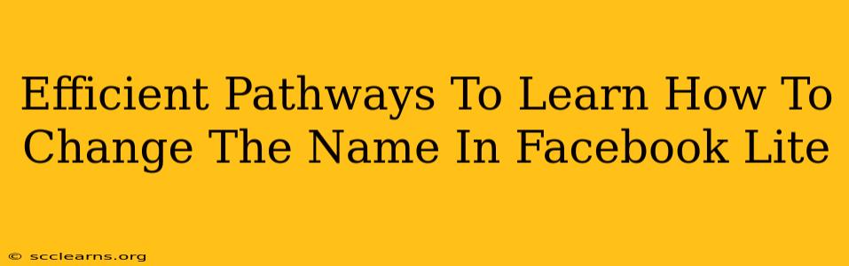 Efficient Pathways To Learn How To Change The Name In Facebook Lite