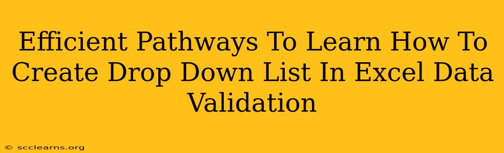 Efficient Pathways To Learn How To Create Drop Down List In Excel Data Validation