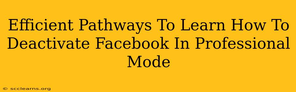 Efficient Pathways To Learn How To Deactivate Facebook In Professional Mode