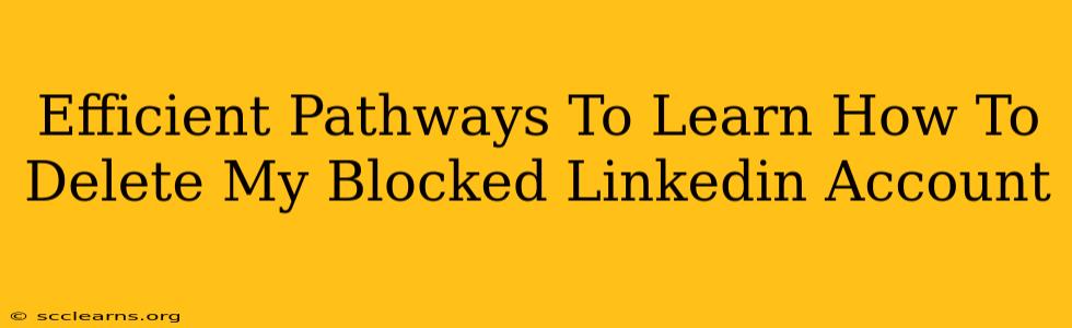 Efficient Pathways To Learn How To Delete My Blocked Linkedin Account