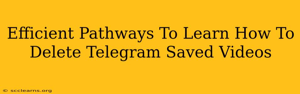 Efficient Pathways To Learn How To Delete Telegram Saved Videos