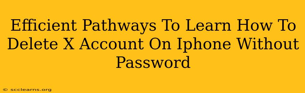 Efficient Pathways To Learn How To Delete X Account On Iphone Without Password