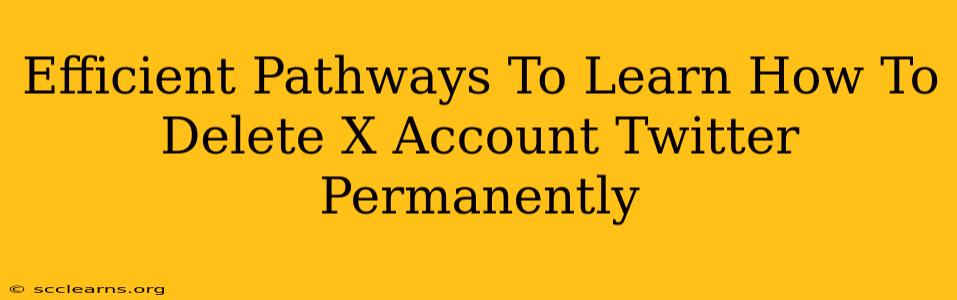 Efficient Pathways To Learn How To Delete X Account Twitter Permanently