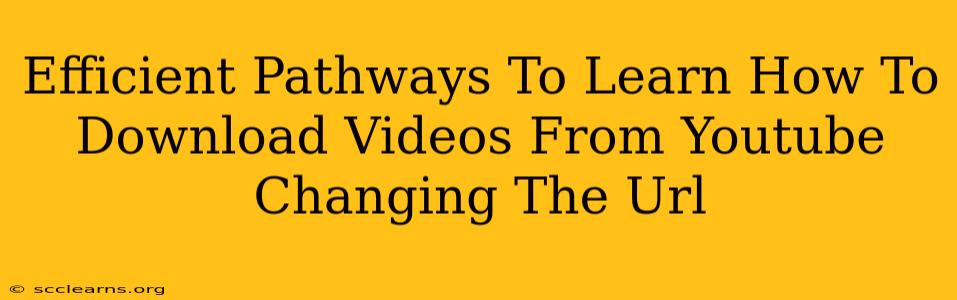 Efficient Pathways To Learn How To Download Videos From Youtube Changing The Url