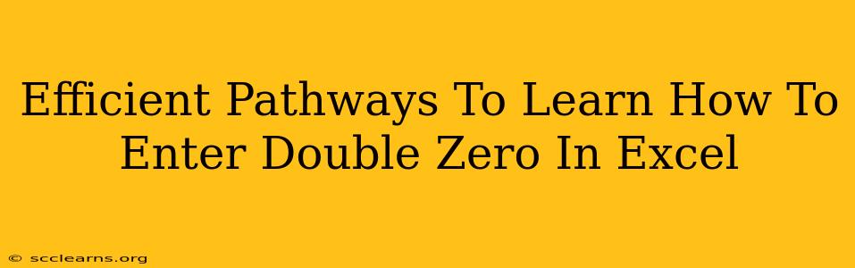 Efficient Pathways To Learn How To Enter Double Zero In Excel