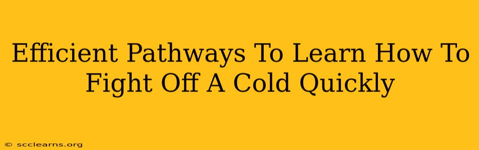 Efficient Pathways To Learn How To Fight Off A Cold Quickly