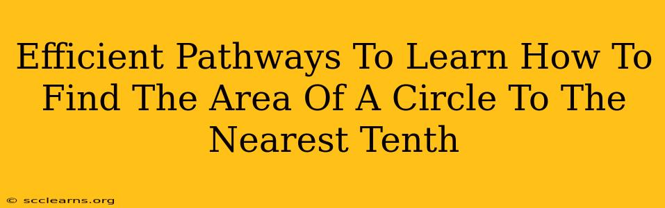 Efficient Pathways To Learn How To Find The Area Of A Circle To The Nearest Tenth