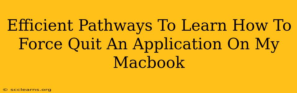 Efficient Pathways To Learn How To Force Quit An Application On My Macbook