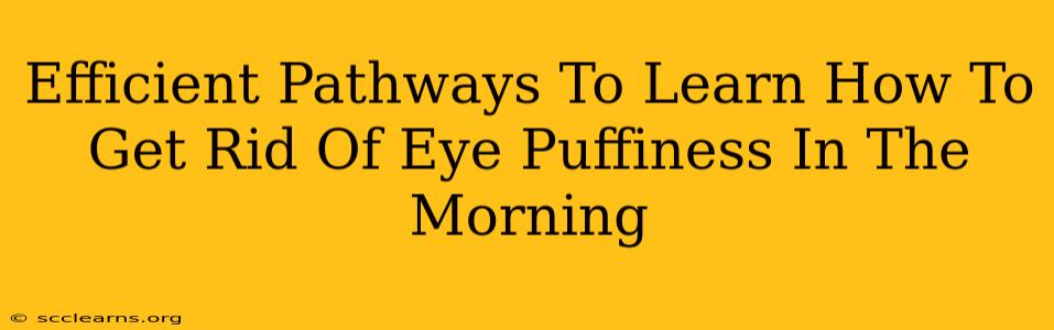 Efficient Pathways To Learn How To Get Rid Of Eye Puffiness In The Morning