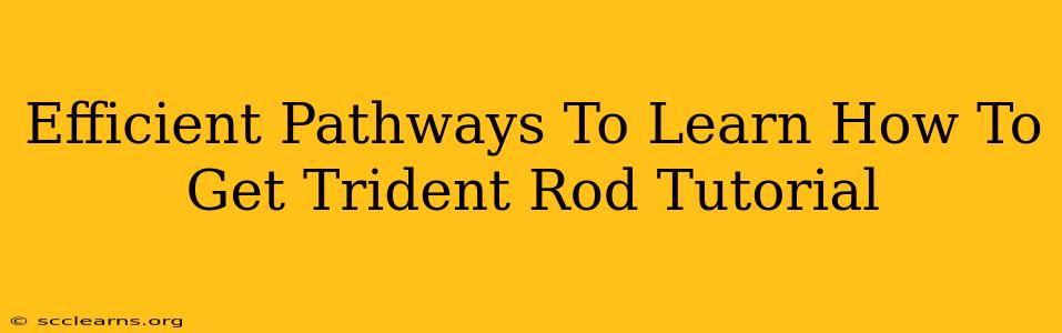 Efficient Pathways To Learn How To Get Trident Rod Tutorial