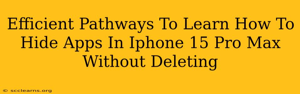 Efficient Pathways To Learn How To Hide Apps In Iphone 15 Pro Max Without Deleting