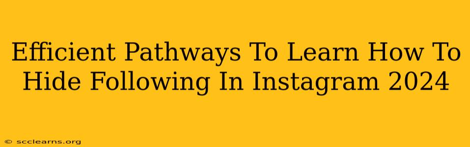 Efficient Pathways To Learn How To Hide Following In Instagram 2024