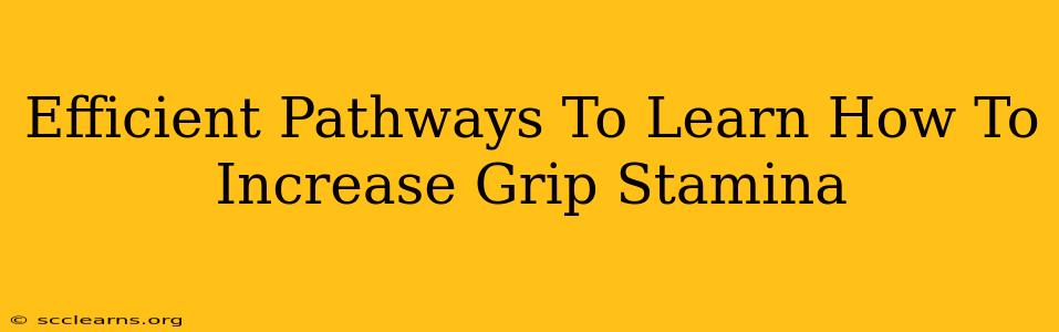 Efficient Pathways To Learn How To Increase Grip Stamina