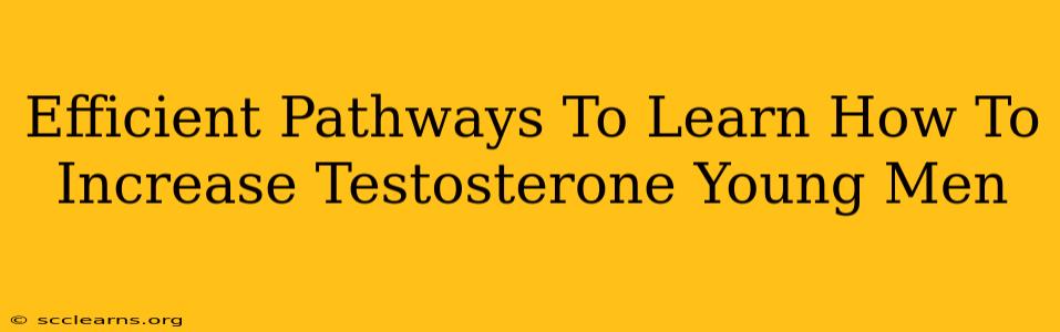 Efficient Pathways To Learn How To Increase Testosterone Young Men