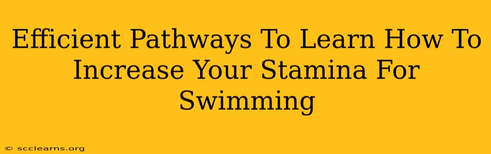 Efficient Pathways To Learn How To Increase Your Stamina For Swimming