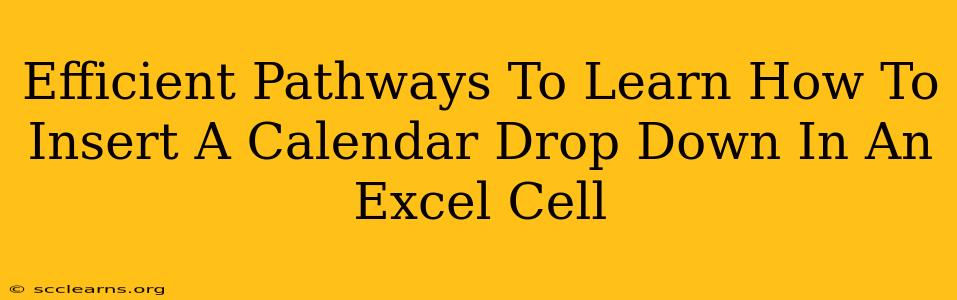 Efficient Pathways To Learn How To Insert A Calendar Drop Down In An Excel Cell