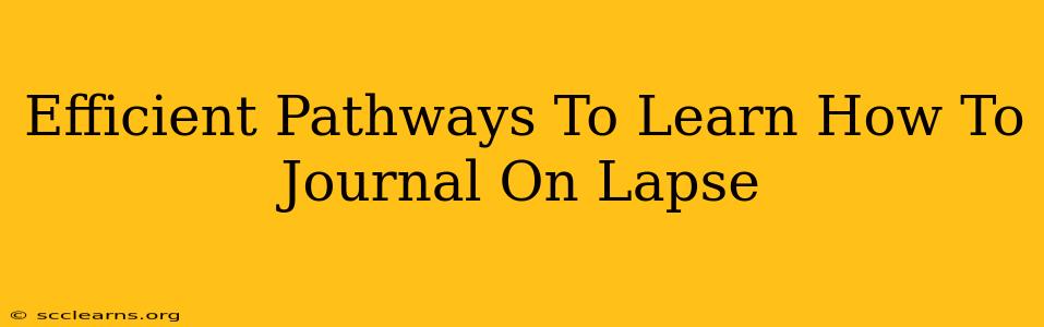 Efficient Pathways To Learn How To Journal On Lapse