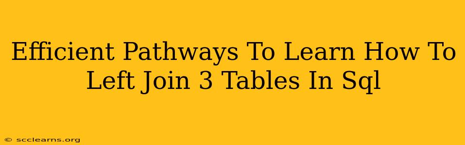 Efficient Pathways To Learn How To Left Join 3 Tables In Sql