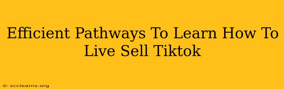 Efficient Pathways To Learn How To Live Sell Tiktok