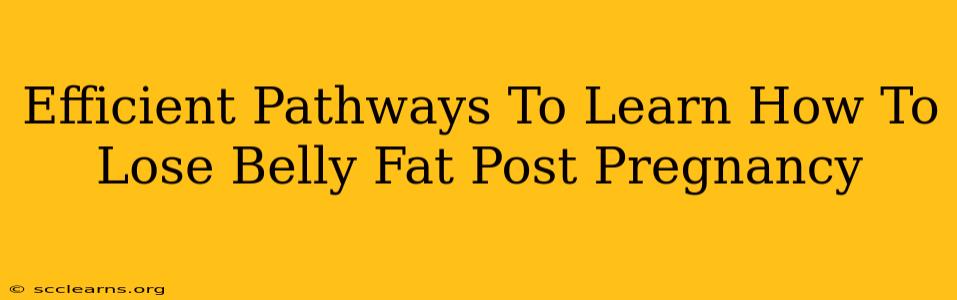 Efficient Pathways To Learn How To Lose Belly Fat Post Pregnancy