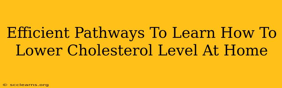 Efficient Pathways To Learn How To Lower Cholesterol Level At Home