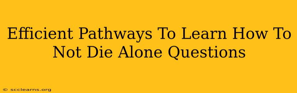 Efficient Pathways To Learn How To Not Die Alone Questions