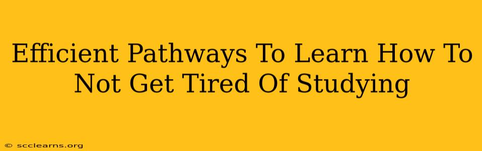 Efficient Pathways To Learn How To Not Get Tired Of Studying