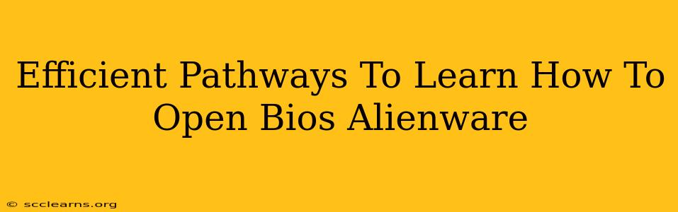 Efficient Pathways To Learn How To Open Bios Alienware