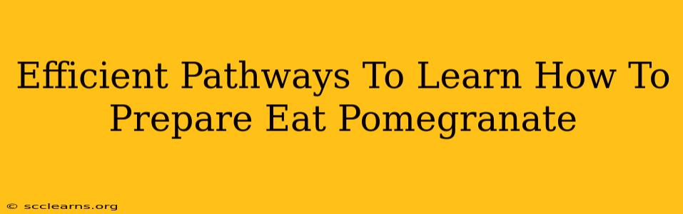 Efficient Pathways To Learn How To Prepare Eat Pomegranate