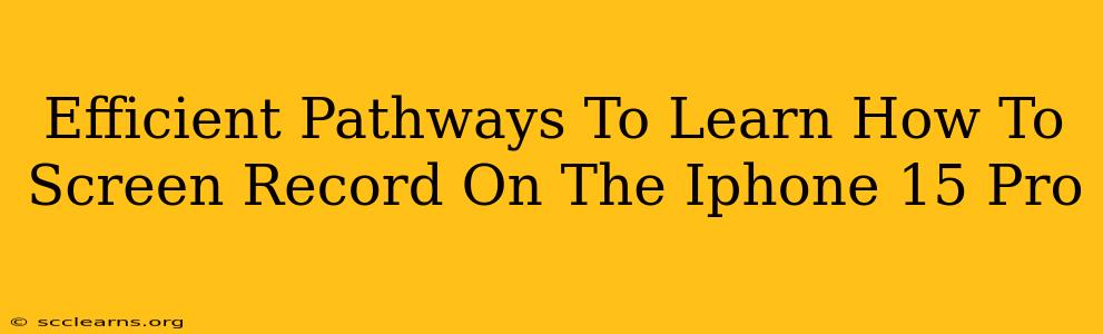 Efficient Pathways To Learn How To Screen Record On The Iphone 15 Pro