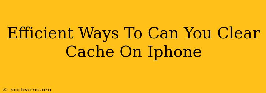 Efficient Ways To Can You Clear Cache On Iphone